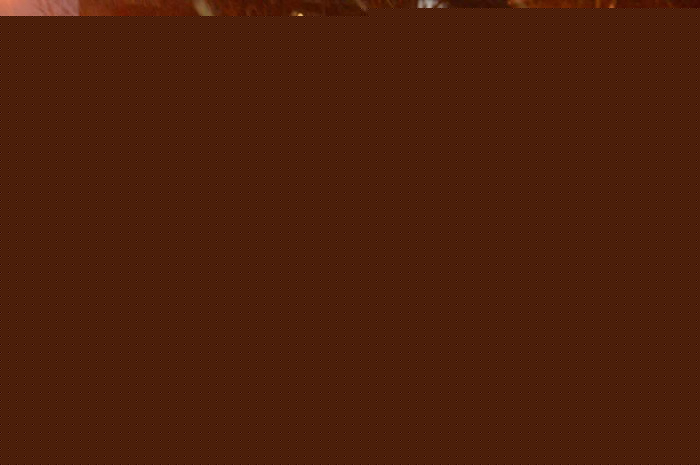 交警处理突发情况