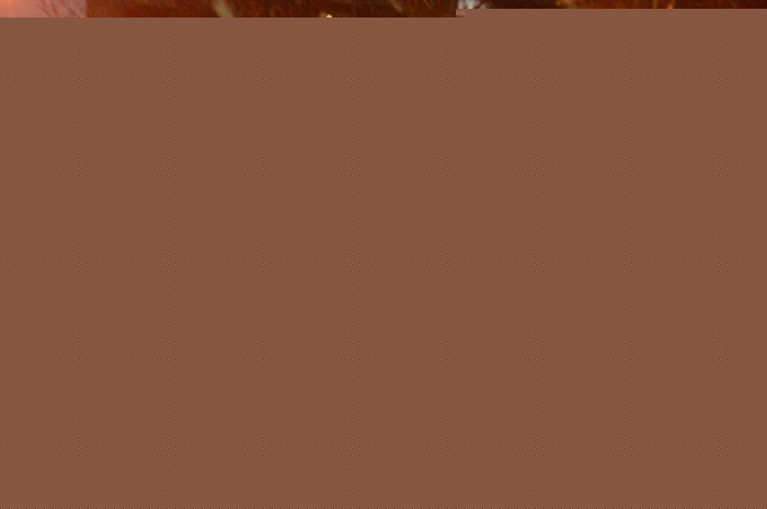 交警处理突发情况